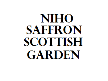 Niho Saffron Scottish Garden